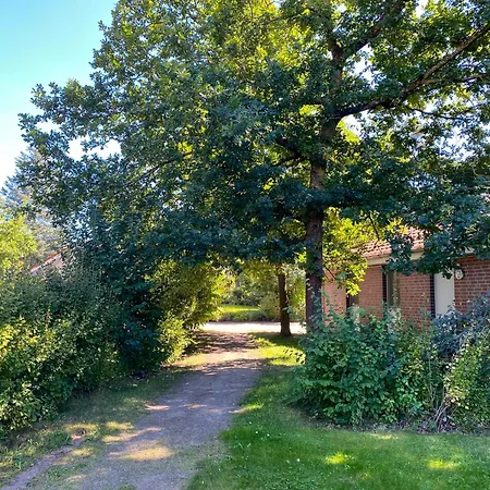 Gruppenunterkunft Wiesengefluester S2 Mit Wiesenblick, Sauna Und Kamin Röbel