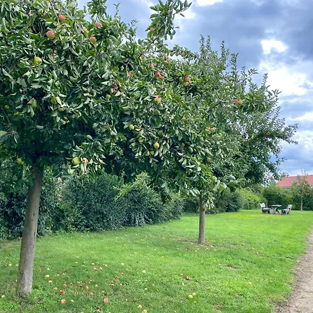 Gruppenunterkunft Wiesengefluester S2 Mit Wiesenblick, Sauna Und Kamin