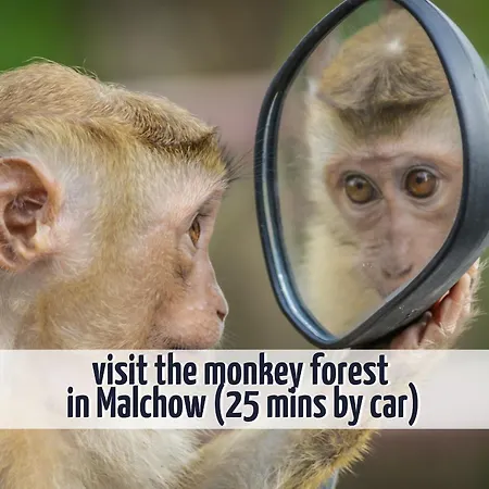 Casa vacanze Gruppenunterkunft Wiesengefluester S2 Mit Wiesenblick, Sauna Und Kamin *