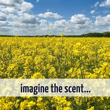 Casa de Férias Gruppenunterkunft Wiesengefluester S2 Mit Wiesenblick, Sauna Und Kamin *