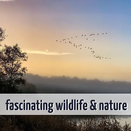 Gruppenunterkunft Wiesengefluester S2 Mit Wiesenblick, Sauna Und Kamin Casa vacanze Röbel