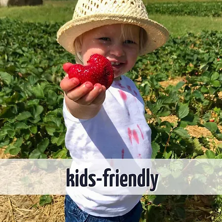 Gruppenunterkunft Wiesengefluester S2 Mit Wiesenblick, Sauna Und Kamin Casa de Férias *