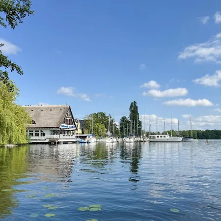 Gruppenunterkunft Wiesengefluester S2 Mit Wiesenblick, Sauna Und Kamin Casa vacanze *