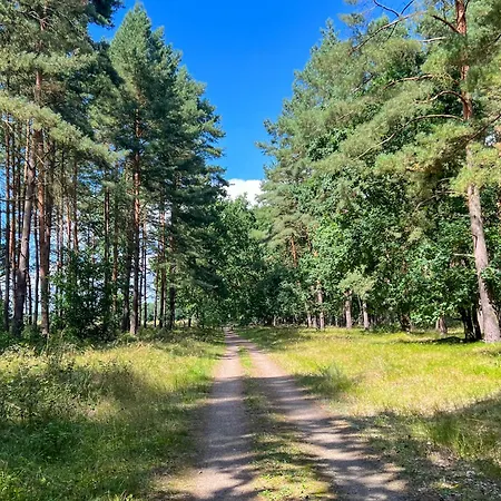 Gruppenunterkunft Wiesengefluester S2 Mit Wiesenblick, Sauna Und Kamin Röbel